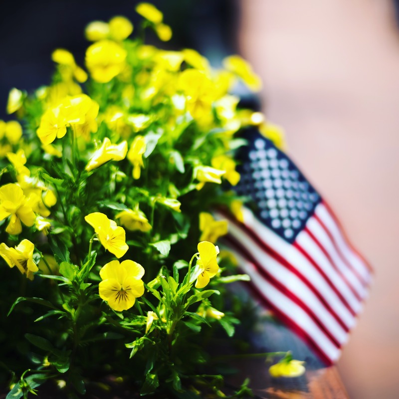 Vibrant Patriotism