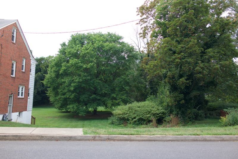 Suburban Serenity