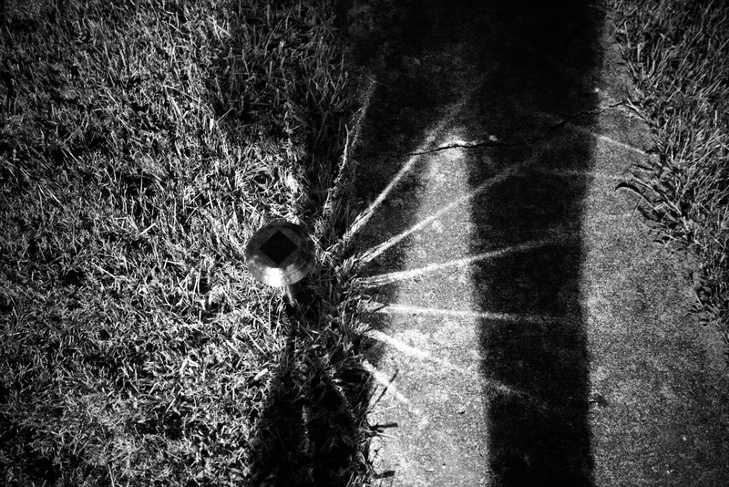 Shadow Play on Path