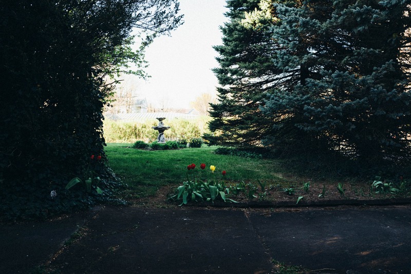 Whispers of Spring