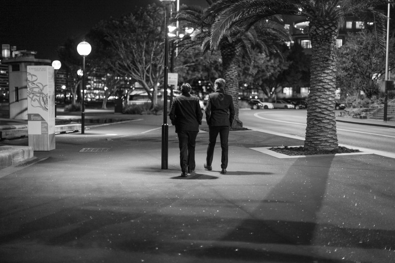 Moonlit Stroll