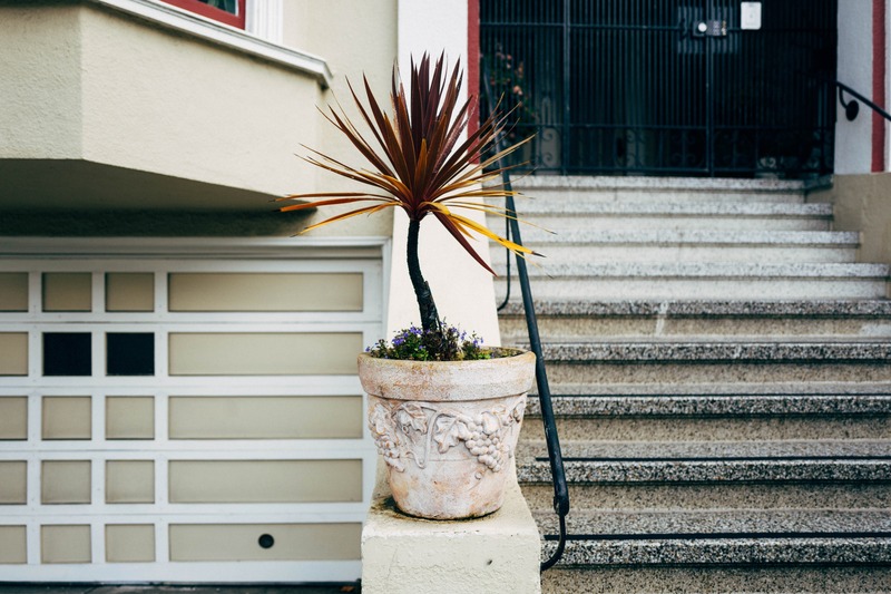 Urban Greenery
