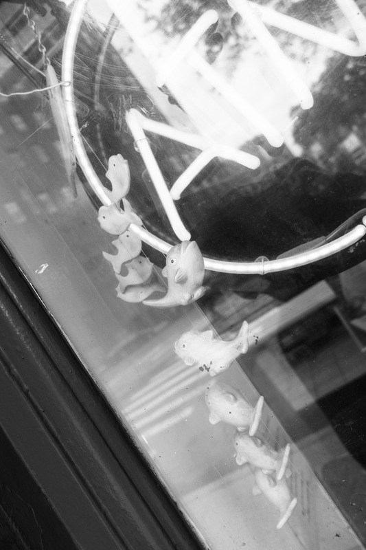 Underwater Whimsy