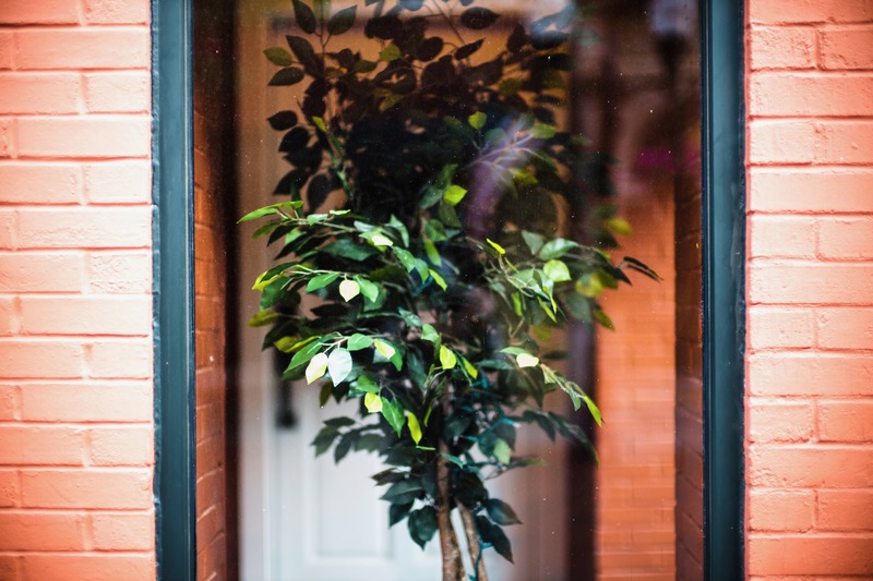 Framed Greenery