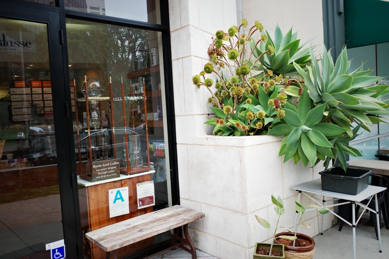 Urban Oasis