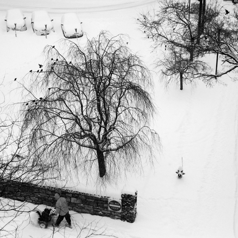 Silent Winter Scene