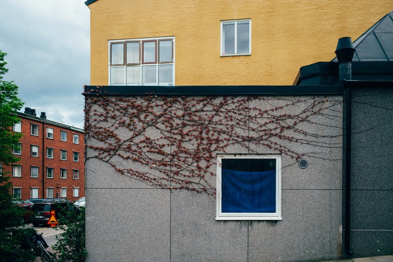 Nature Meets Urban