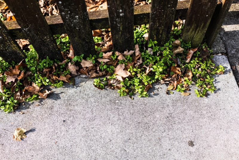 Nature's Persistence