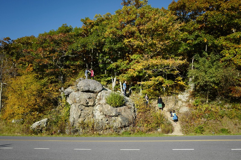 Autumn Ascent