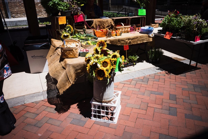 Bright Market Day
