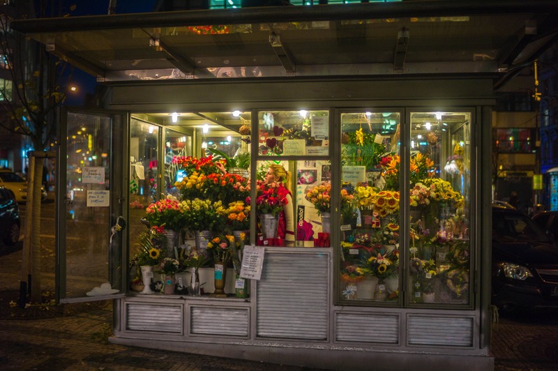 Flowers at Dusk