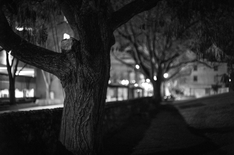 Nocturnal Embrace