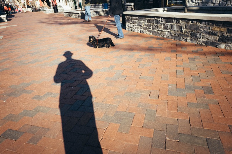 Shadows and Strolls