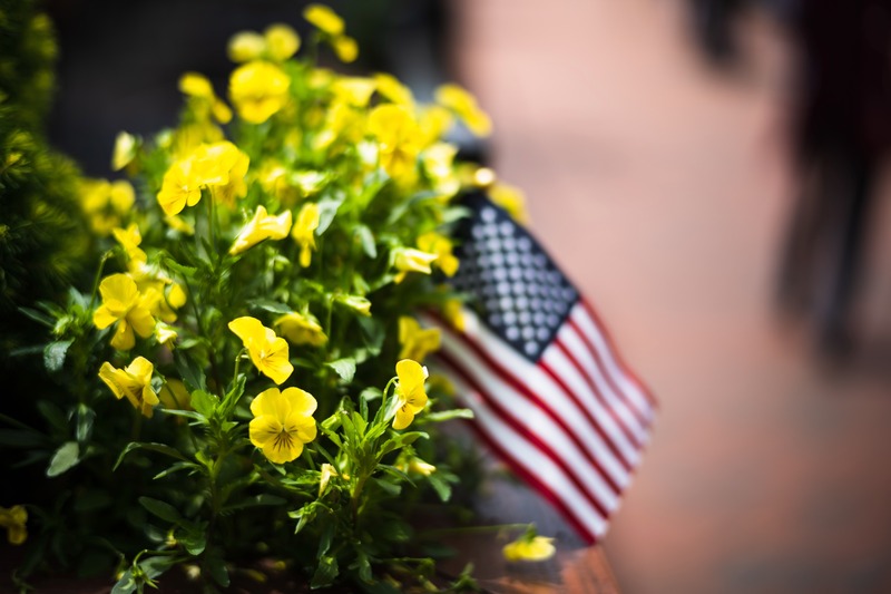 Burst of Patriotism