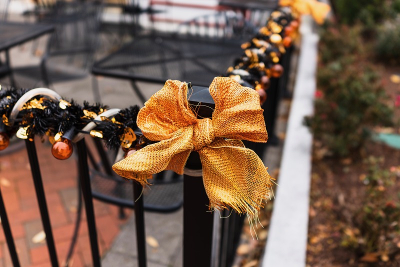 Autumnal Elegance