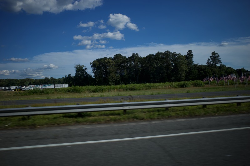 Roadside Serenity