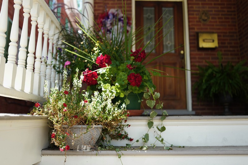 Welcoming Flora