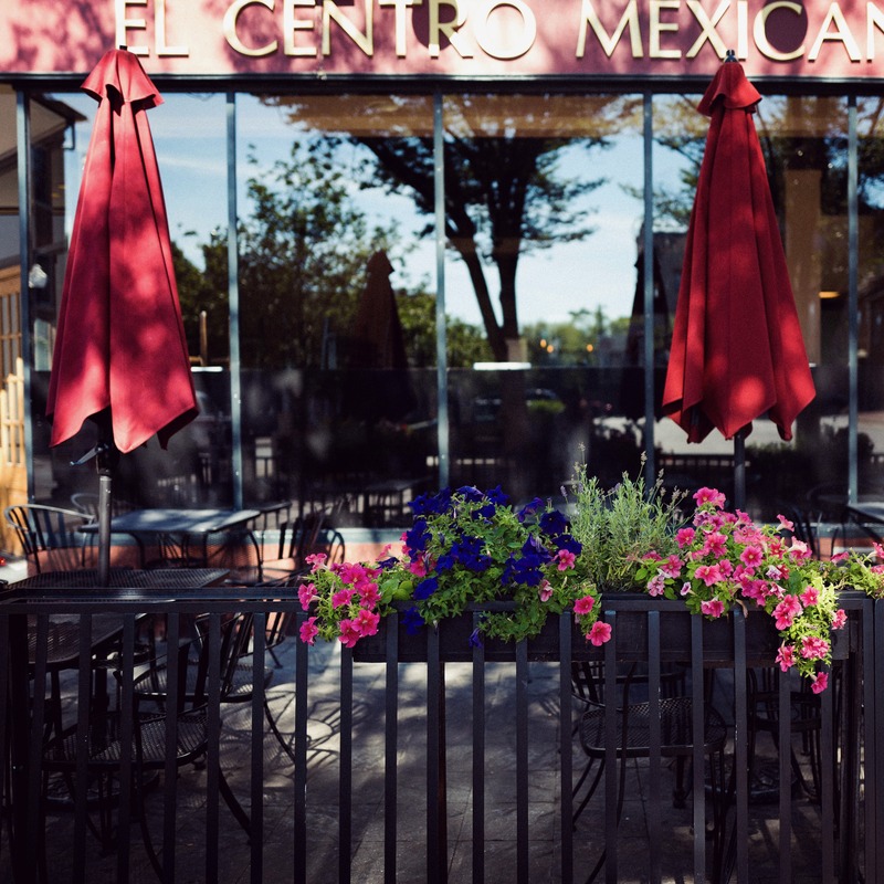 Vibrant Café Scene