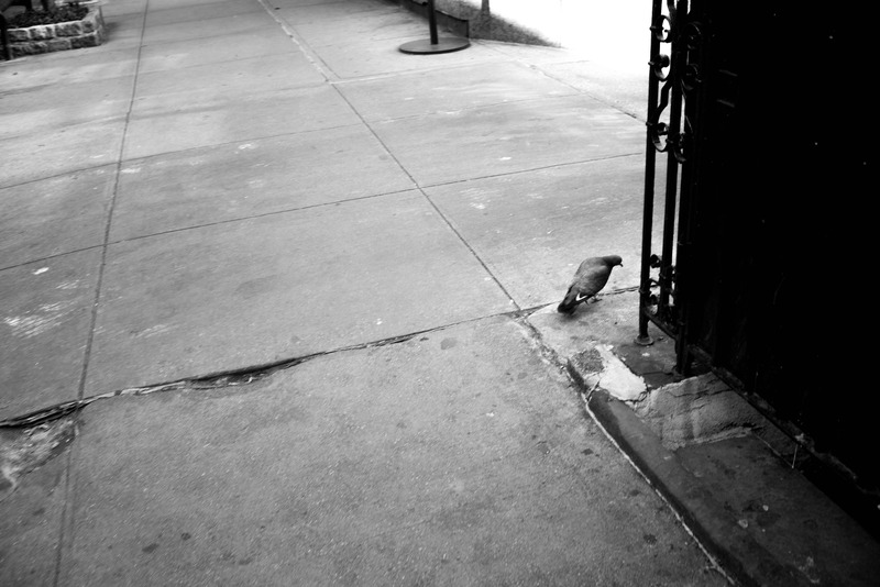 Urban Solitude