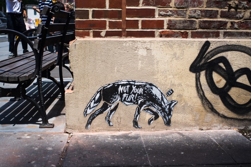 Urban Protest Art