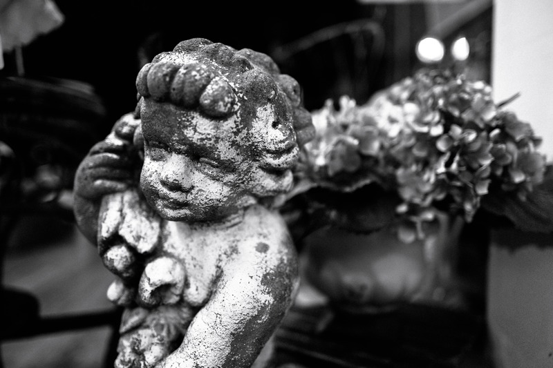 Whispers of Time
