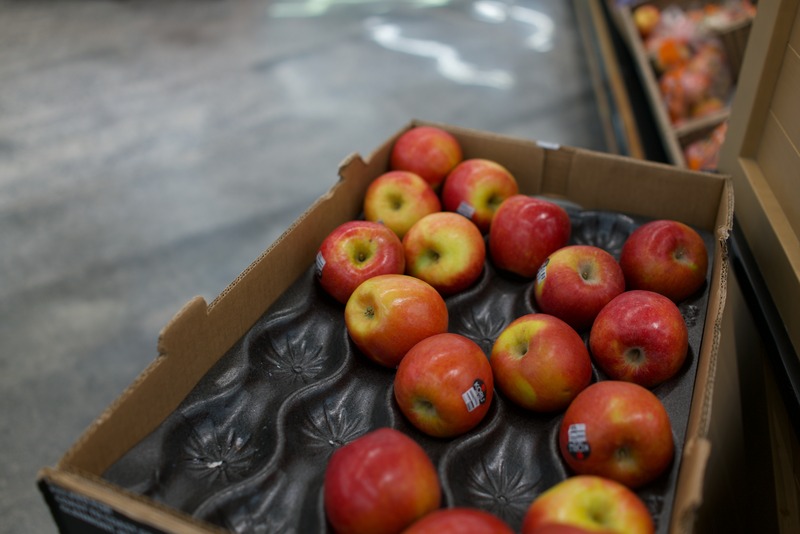 Autumn's Bounty