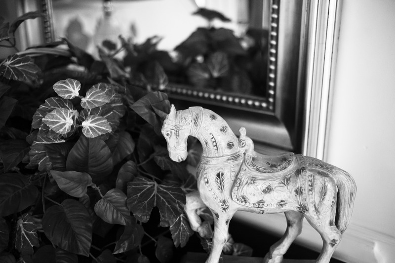 Timeless Elegance