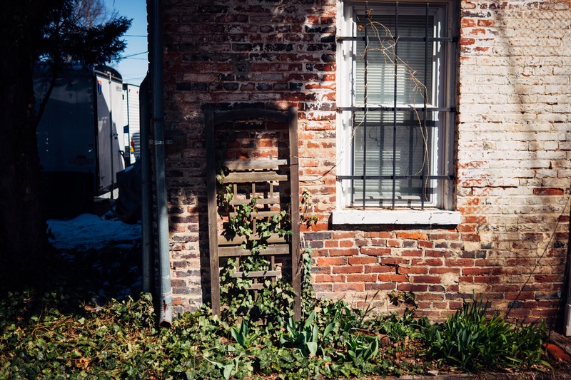 Rustic Urban Corner