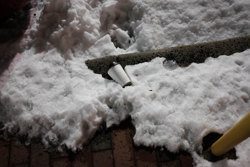 Forgotten in Winter