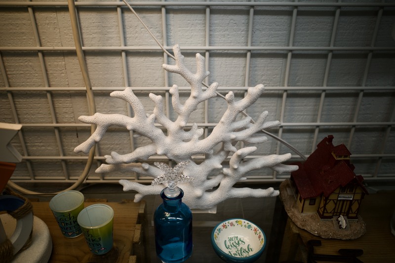 Coastal Still Life