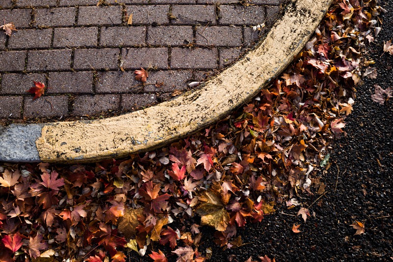 Autumn's Edge