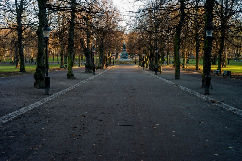 Path Through Autumn