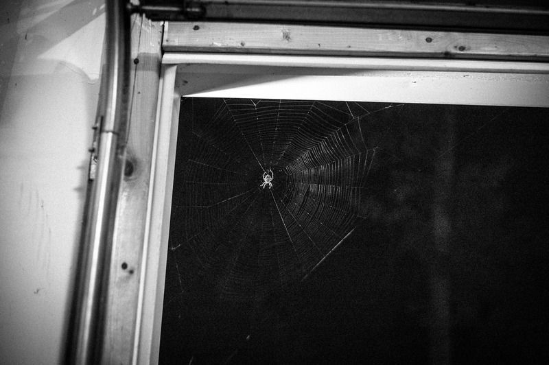 Web of Shadows