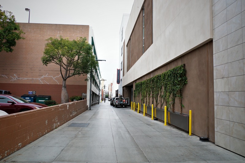 Urban Stillness