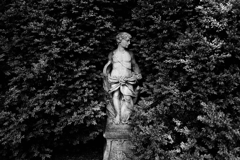 Hidden in Greenery