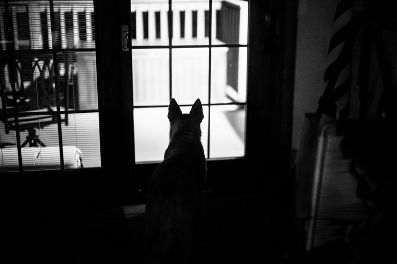 Quiet Vigil at Dusk