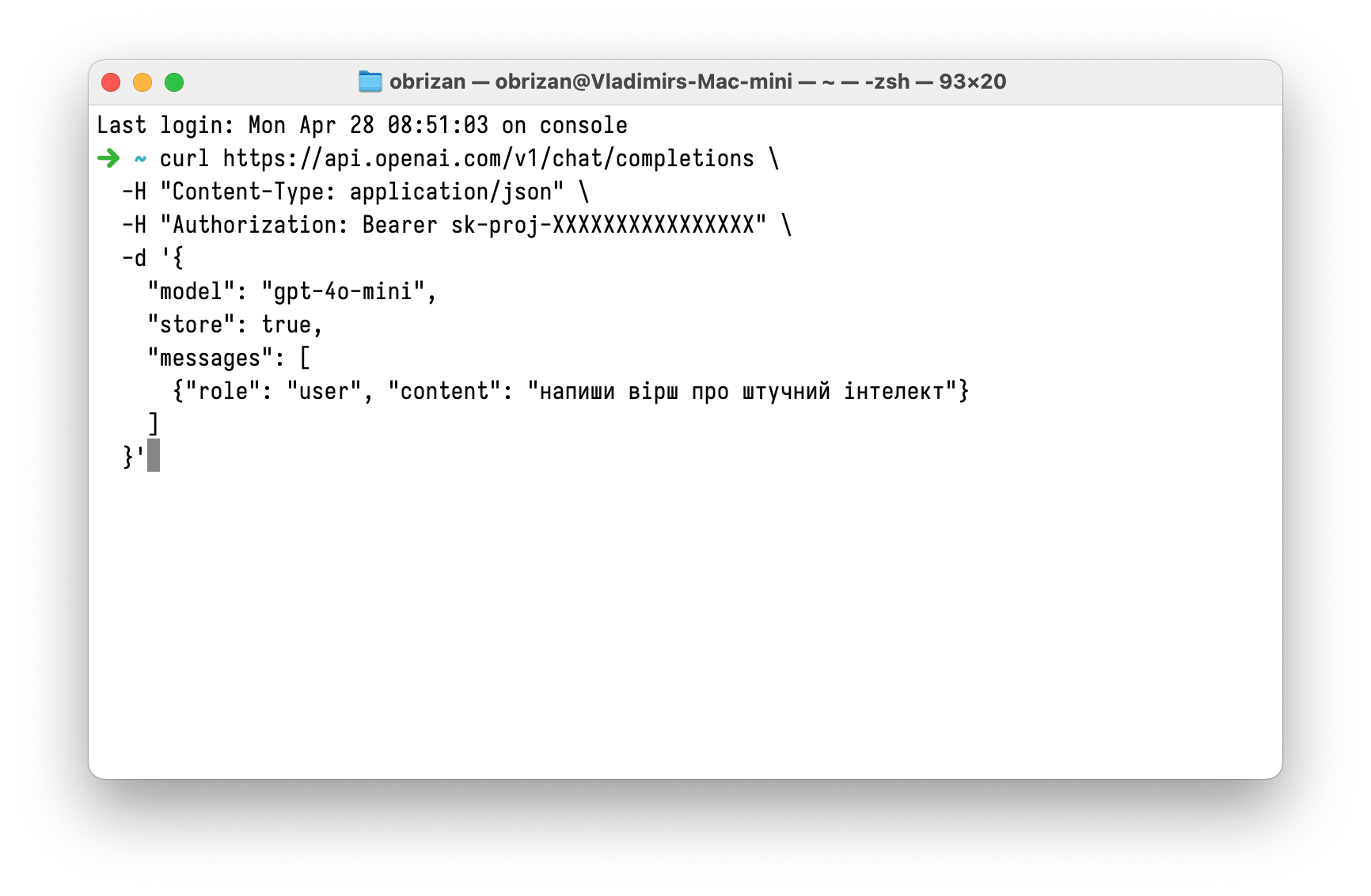 013-openai-curl-command-line.png