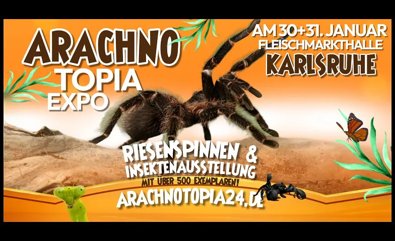 Arachnotopia - Riesenspinnen & Insektenausstellung Karlsruhe