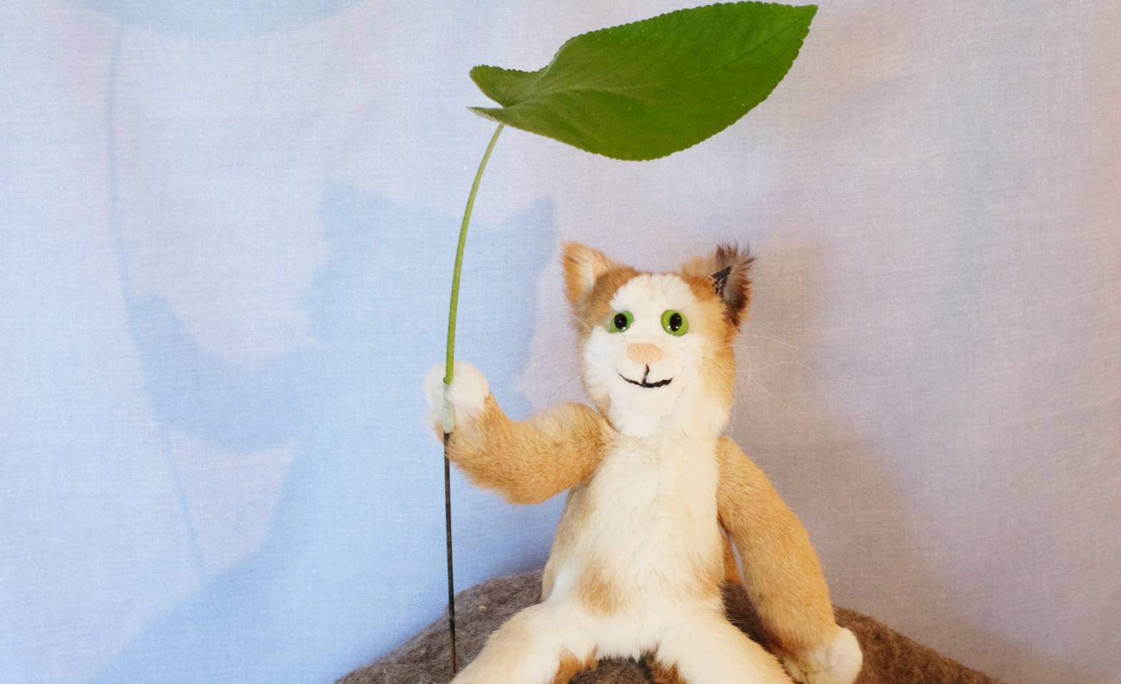 Caruso als Wetterfrosch