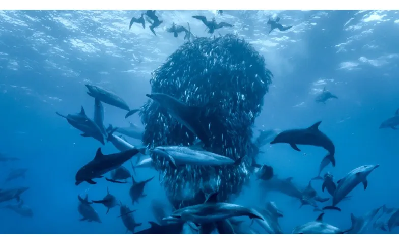 Ocean with David Attenborough