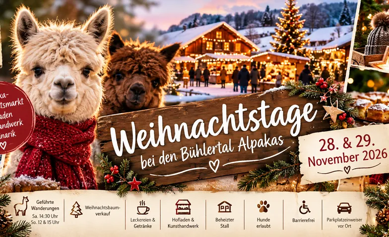 Weihnachtstage bei den Bühlertal Alpakas