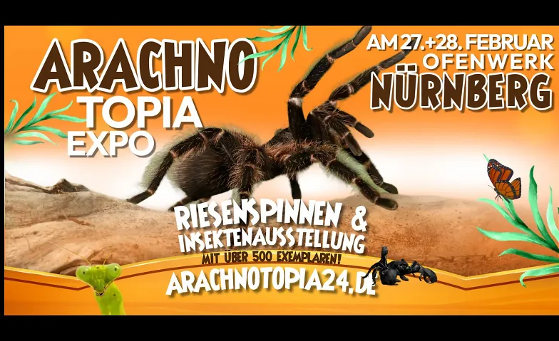 Arachnotopia - Riesenspinnen & Insektenausstellung Nürnberg