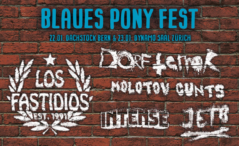 Blaues Pony Fest 2027