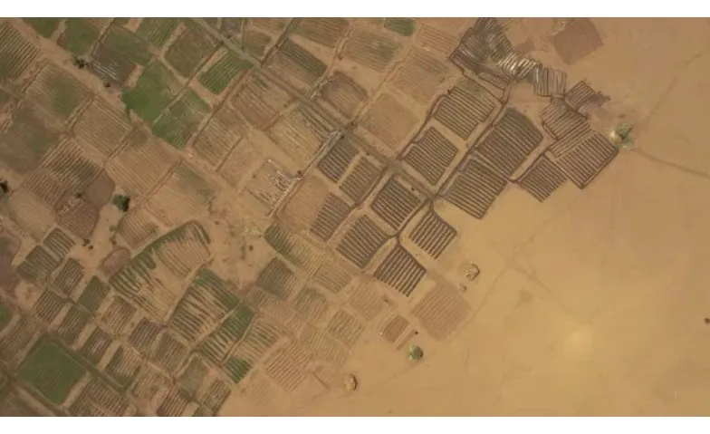 Climate Extremes: Agriculture