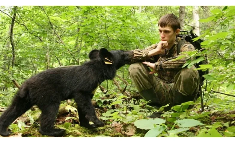 My Bear Story