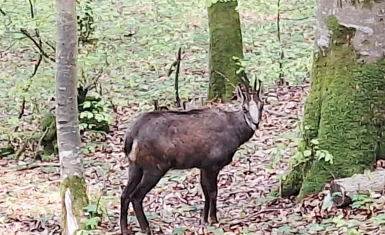 Pro Senectute Brugg Wanderung