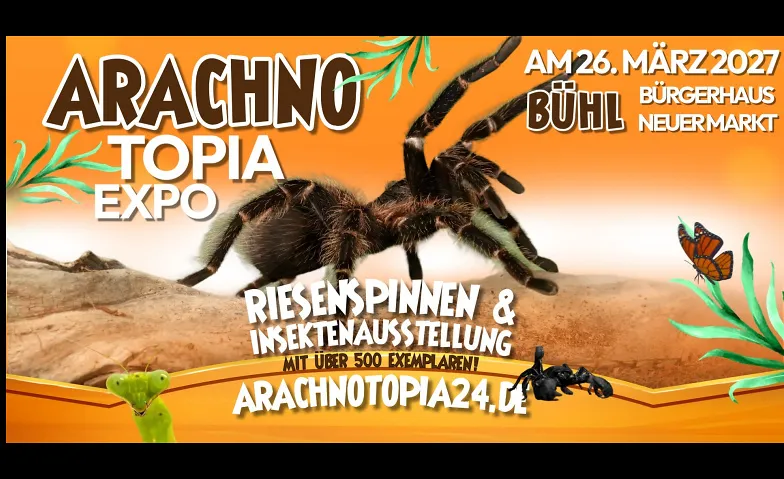 Arachnotopia - Riesenspinnen & Insektenausstellung Bühl