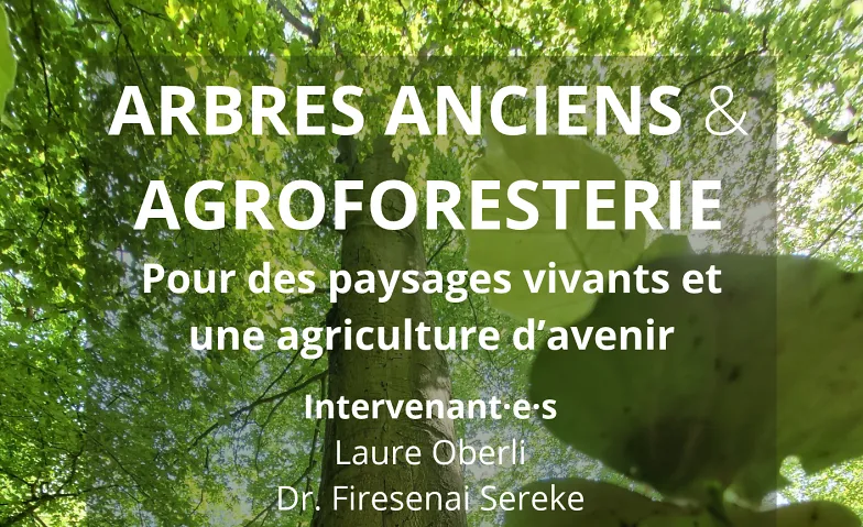 Arbres Anciens et Agroforesterie - Des solutions d'avenir?