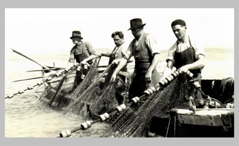 «Fette Fänge & miese Muscheln»