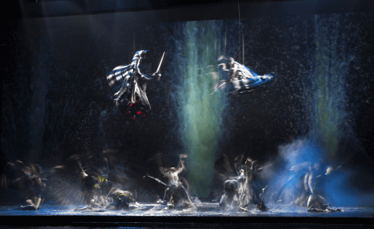 Artistic Swimming Show von der Swim Regio Solothurn